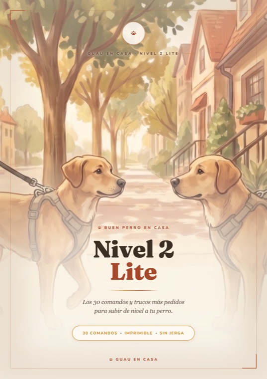 Tapa de Nivel 2 Lite