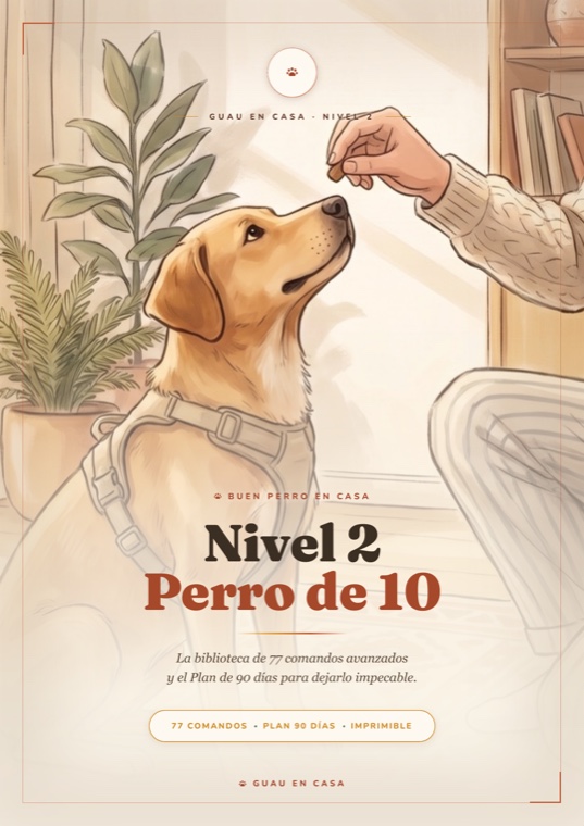 Tapa de Nivel 2 Perro de 10